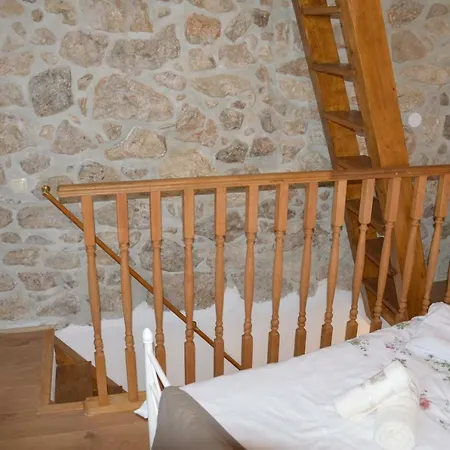 Andrijana 비르브닉